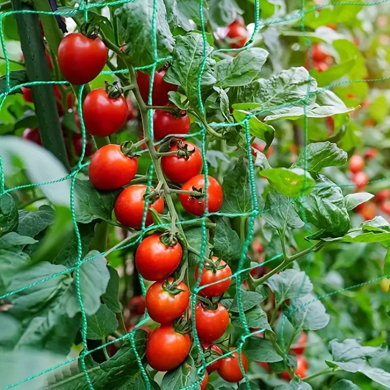 Plant Trellis Pergolas, Heavy - Duty Polyester Grow Net, Garden Trellis Netting With Square Mesh For Climbing Plants, Vegetables, - Acyl.shop