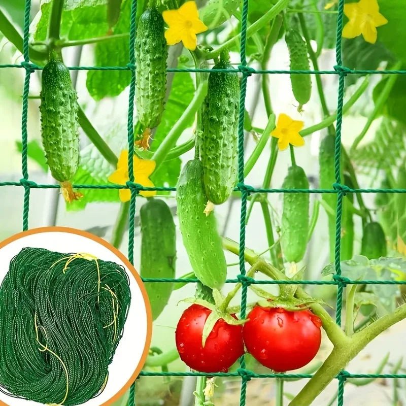 Plant Trellis Pergolas, Heavy - Duty Polyester Grow Net, Garden Trellis Netting With Square Mesh For Climbing Plants, Vegetables, - Acyl.shop